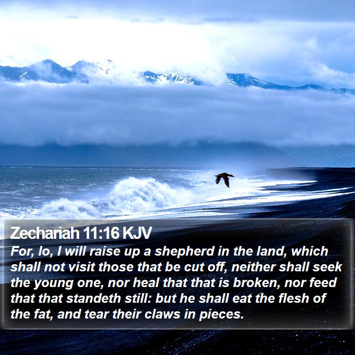 Zechariah 11:16 KJV Bible Study