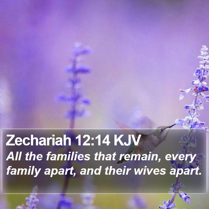 Zechariah 12:14 KJV Bible Study