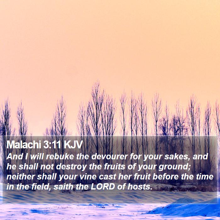 Malachi 3:11 KJV Bible Study