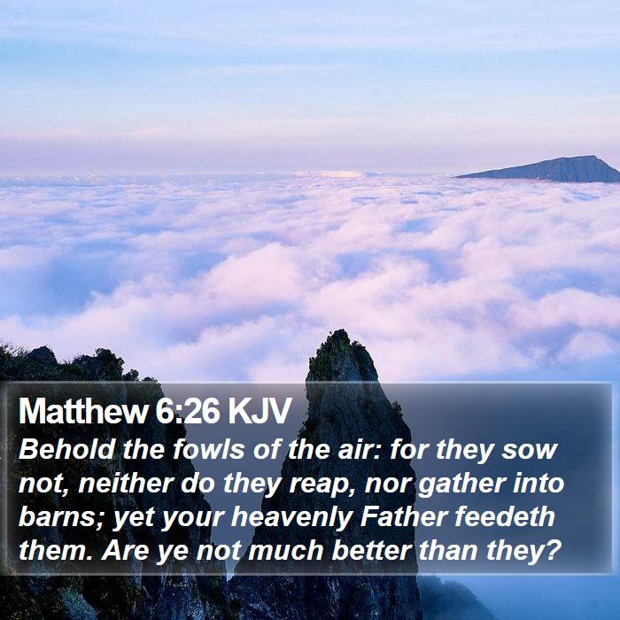 Matthew 6:26 KJV Bible Study