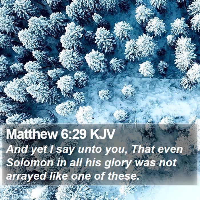 Matthew 6:29 KJV Bible Study