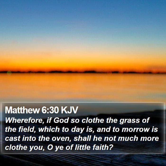 Matthew 6:30 KJV Bible Study