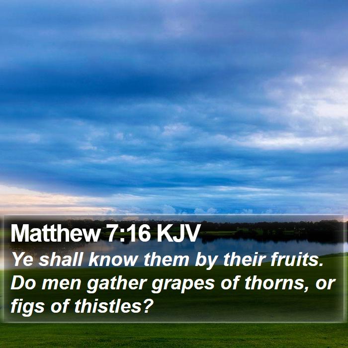 Matthew 7:16 KJV Bible Study