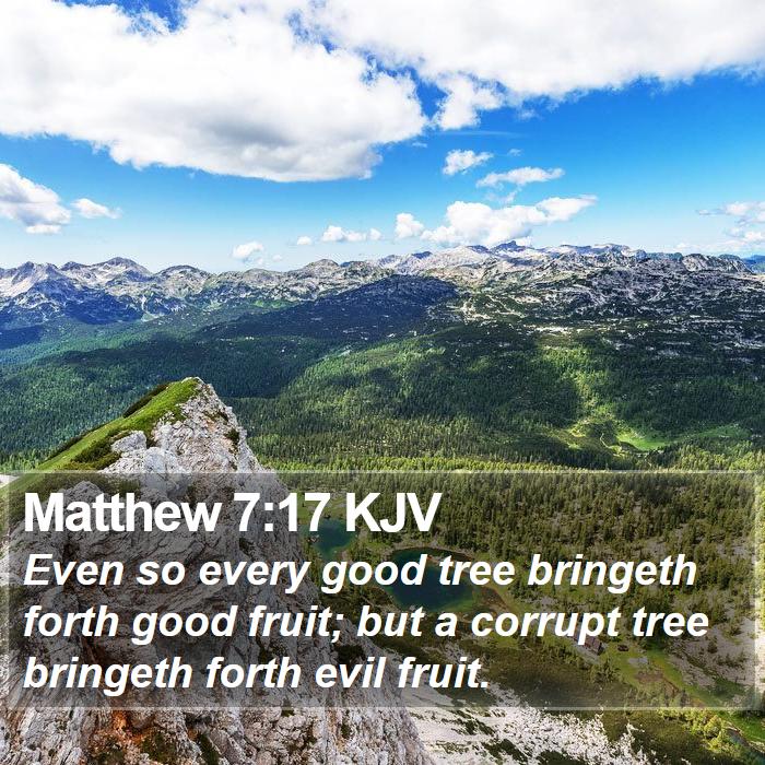 Matthew 7:17 KJV Bible Study