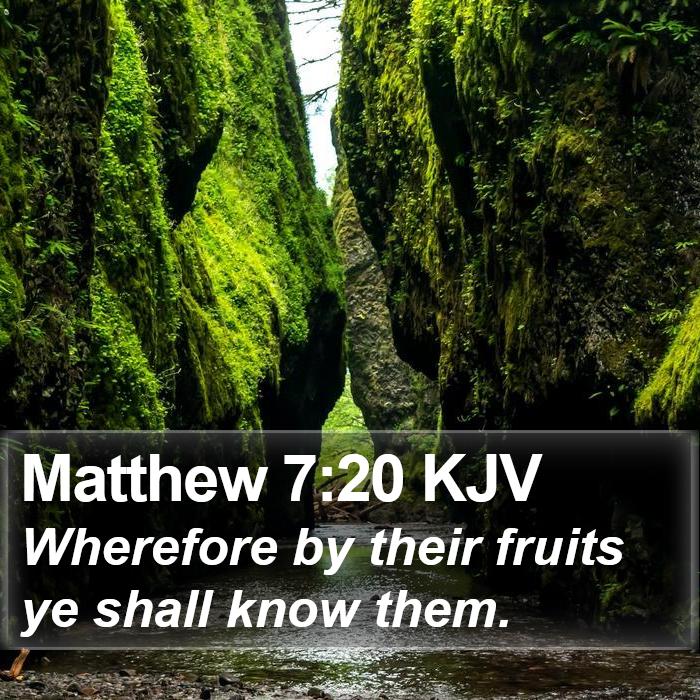 Matthew 7:20 KJV Bible Study