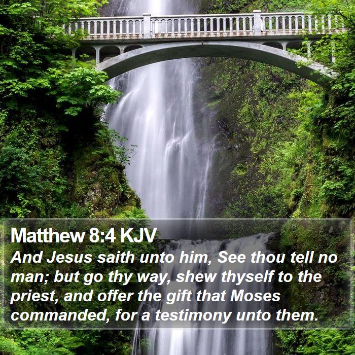 Matthew 8:4 KJV Bible Study