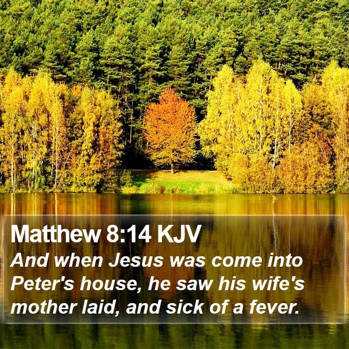 Matthew 8:14 KJV Bible Study