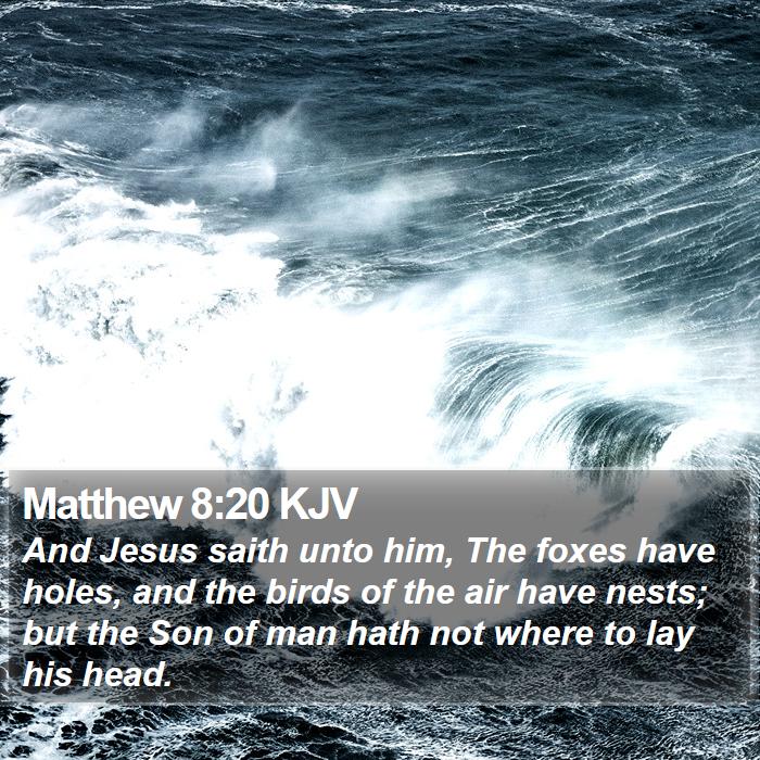 Matthew 8:20 KJV Bible Study