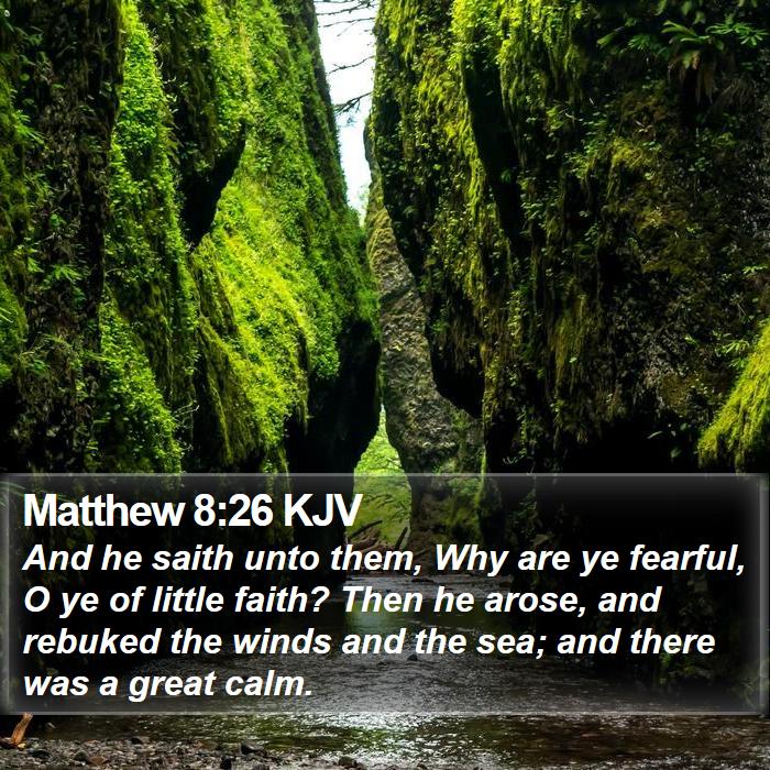 Matthew 8:26 KJV Bible Study