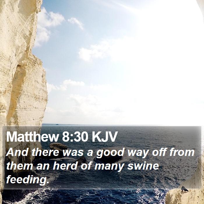 Matthew 8:30 KJV Bible Study