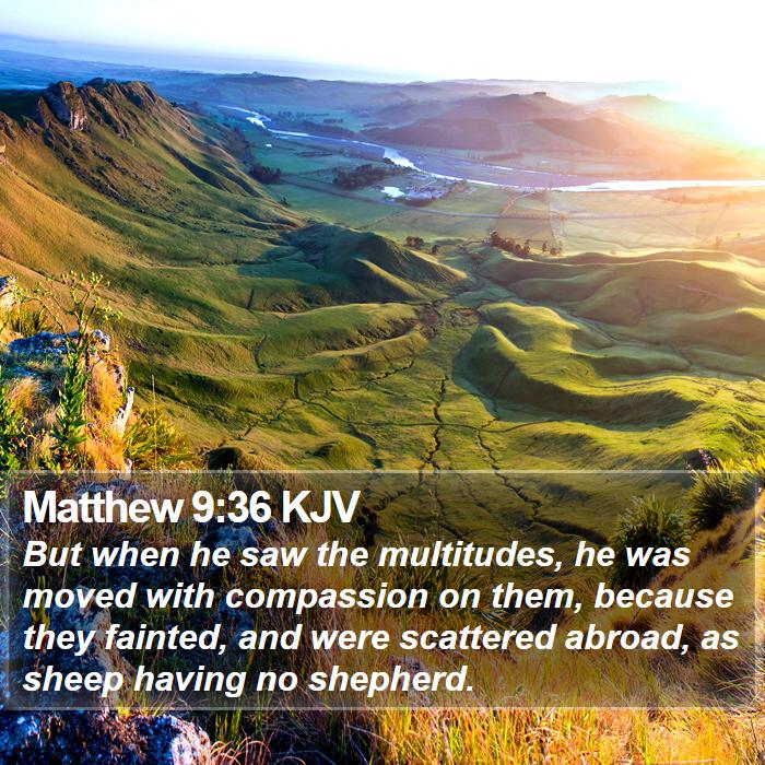 Matthew 9:36 KJV Bible Study