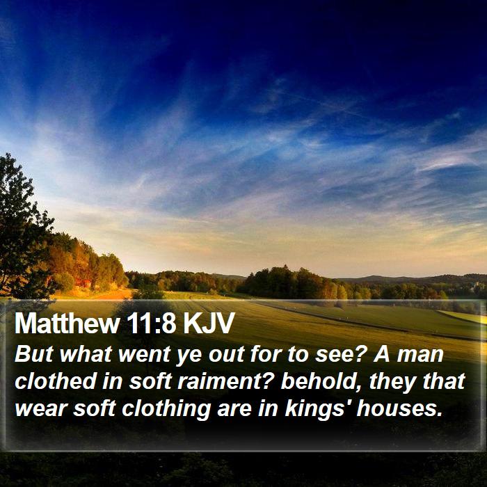 Matthew 11:8 KJV Bible Study