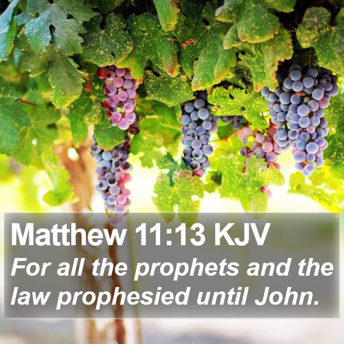 Matthew 11:13 KJV Bible Study