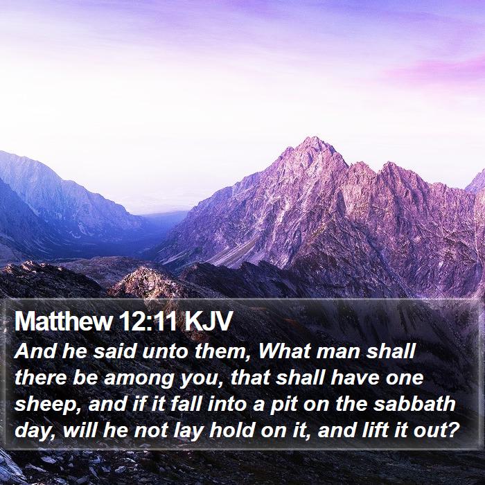 Matthew 12:11 KJV Bible Study