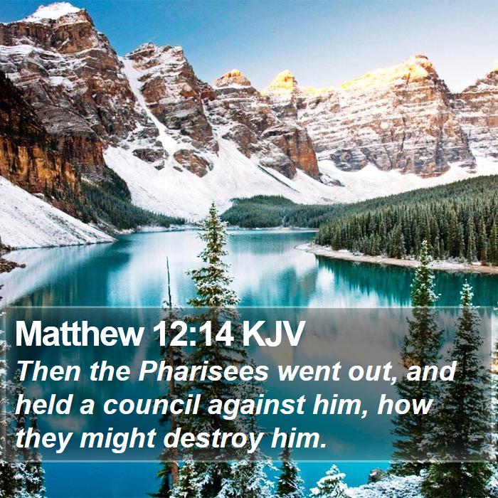 Matthew 12:14 KJV Bible Study