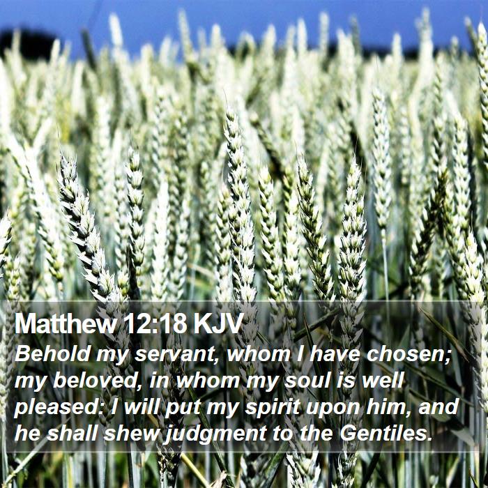 Matthew 12:18 KJV Bible Study