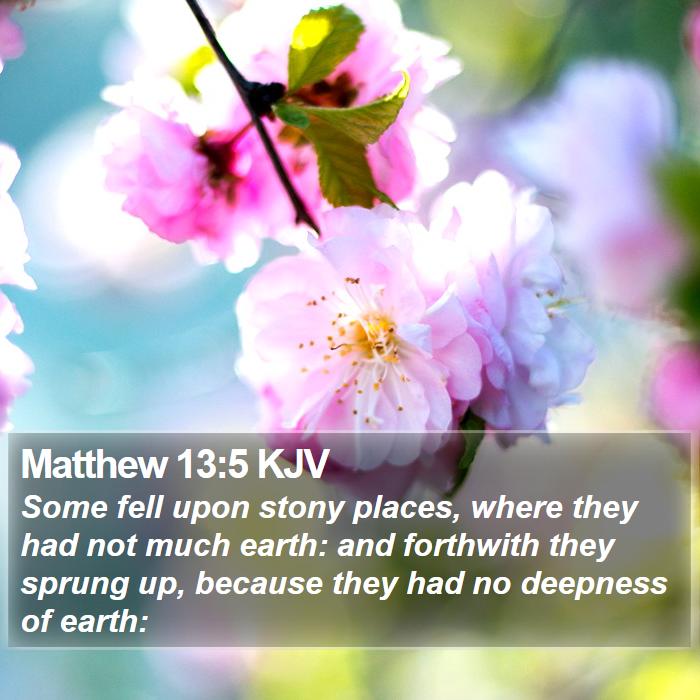 Matthew 13:5 KJV Bible Study