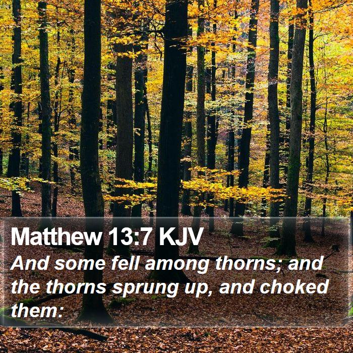 Matthew 13:7 KJV Bible Study