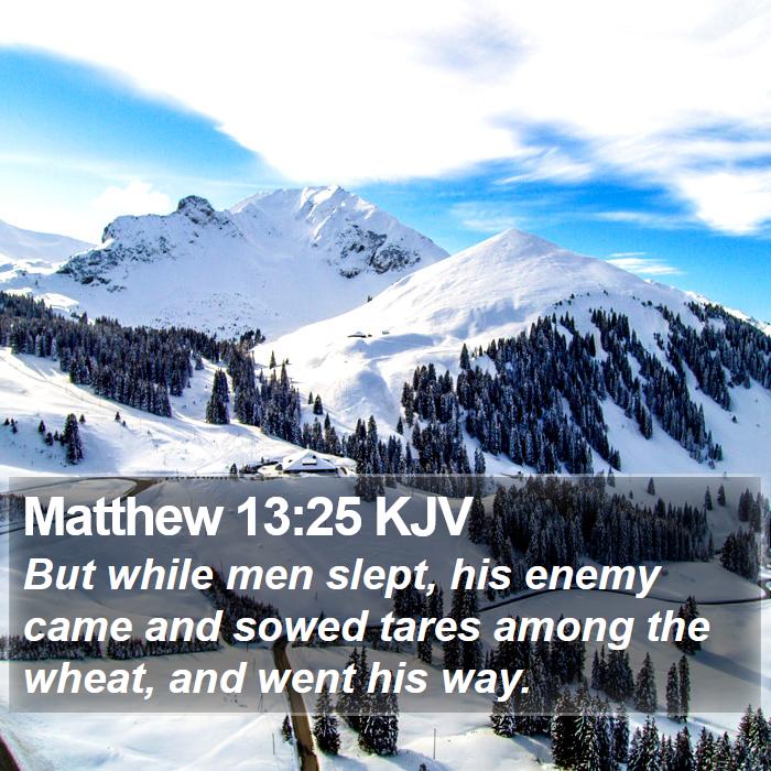 Matthew 13:25 KJV Bible Study