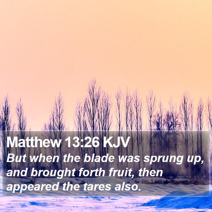 Matthew 13:26 KJV Bible Study