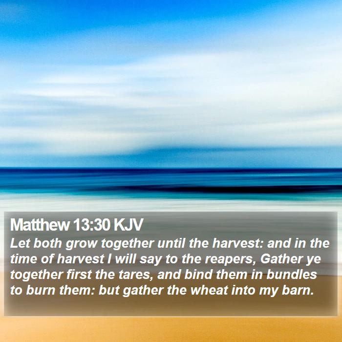 Matthew 13:30 KJV Bible Study