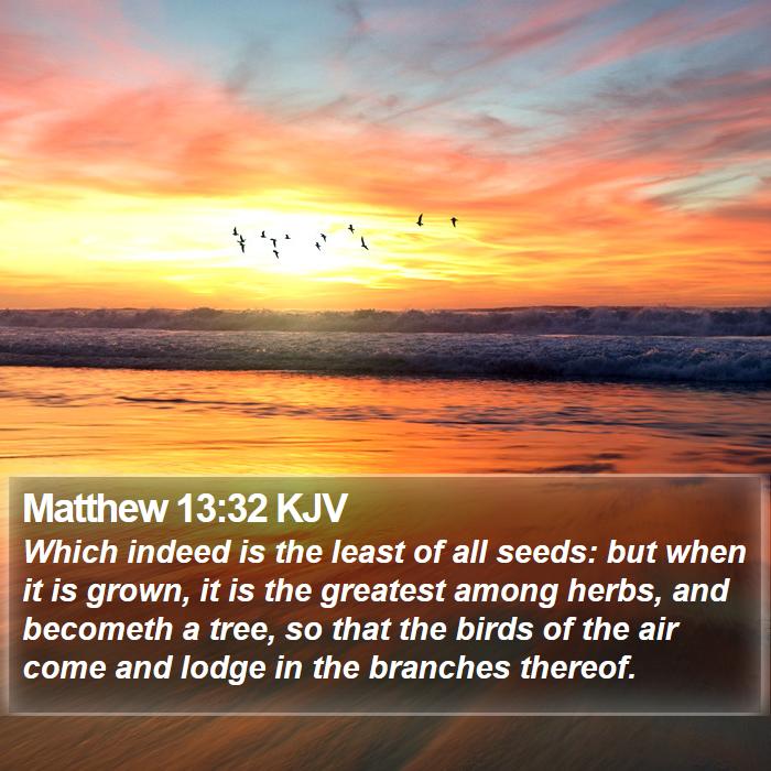 Matthew 13:32 KJV Bible Study