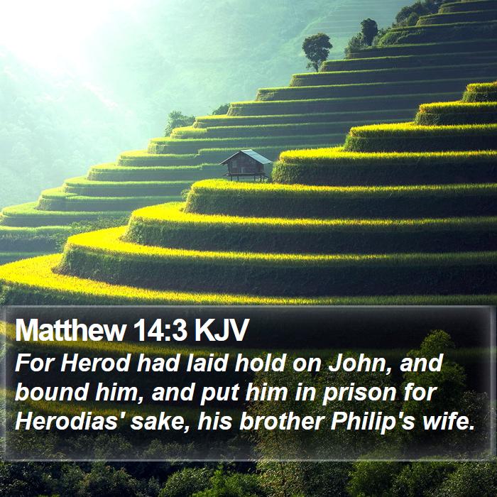 Matthew 14:3 KJV Bible Study