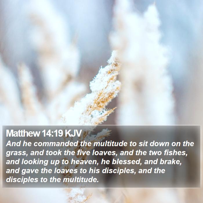 Matthew 14:19 KJV Bible Study