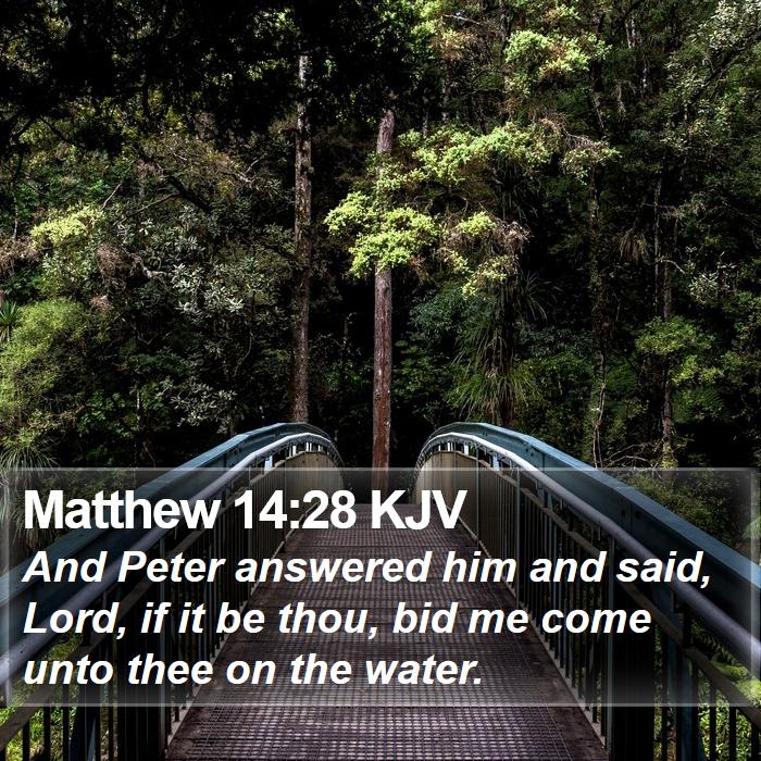 Matthew 14:28 KJV Bible Study