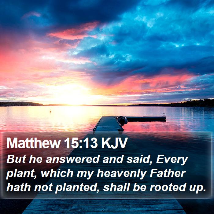 Matthew 15:13 KJV Bible Study