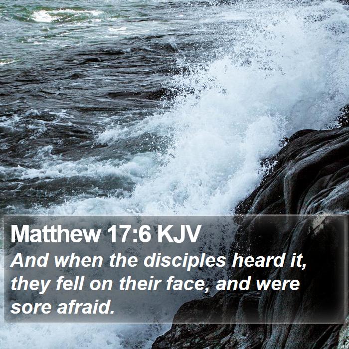 Matthew 17:6 KJV Bible Study