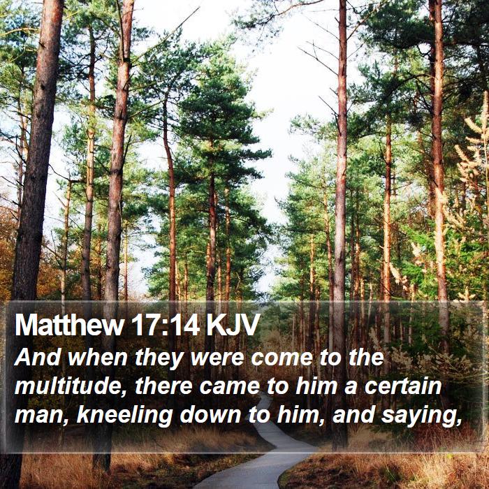 Matthew 17:14 KJV Bible Study