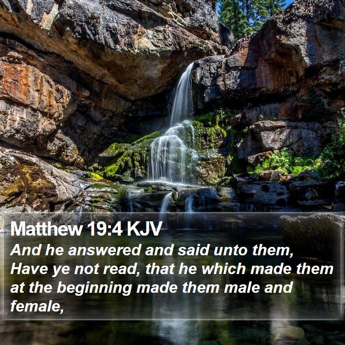 Matthew 19:4 KJV Bible Study