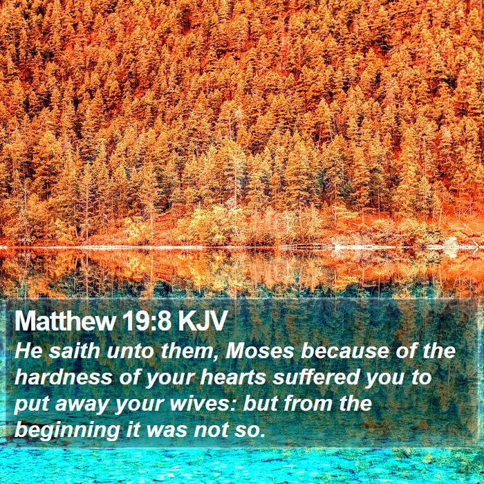 Matthew 19:8 KJV Bible Study