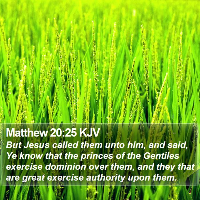 Matthew 20:25 KJV Bible Study