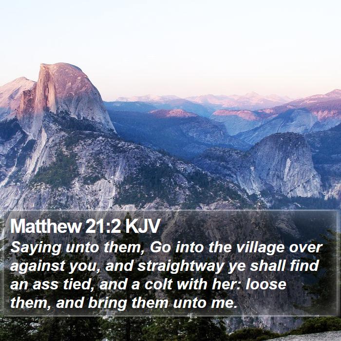 Matthew 21:2 KJV Bible Study