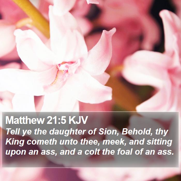 Matthew 21:5 KJV Bible Study