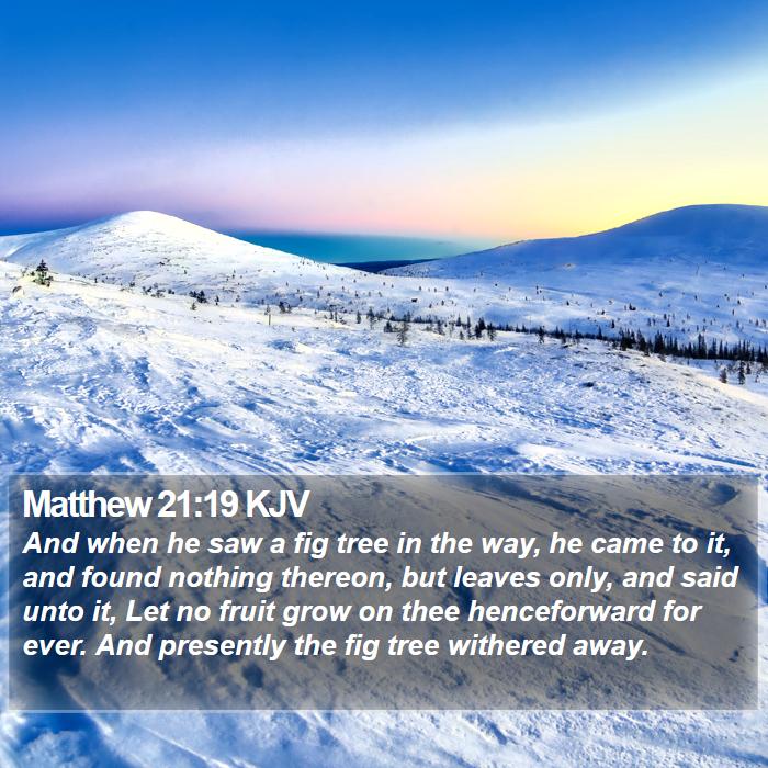 Matthew 21:19 KJV Bible Study