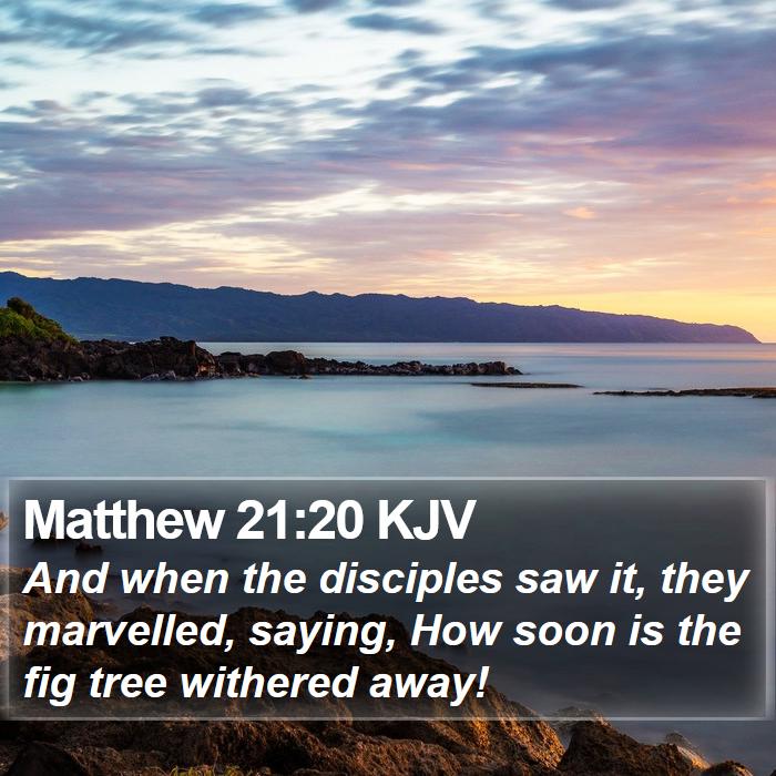 Matthew 21:20 KJV Bible Study