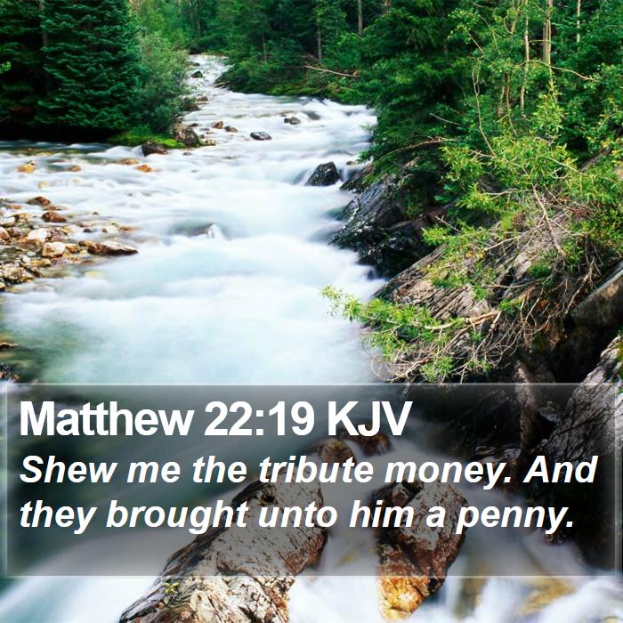 Matthew 22:19 KJV Bible Study