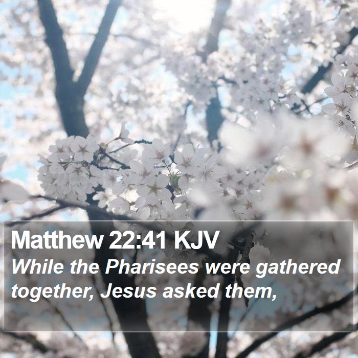 Matthew 22:41 KJV Bible Study