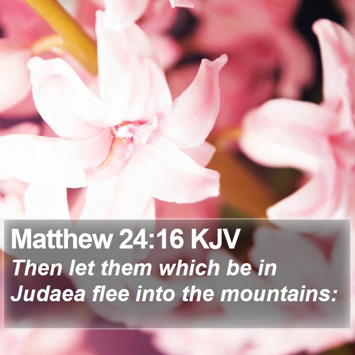 Matthew 24:16 KJV Bible Study