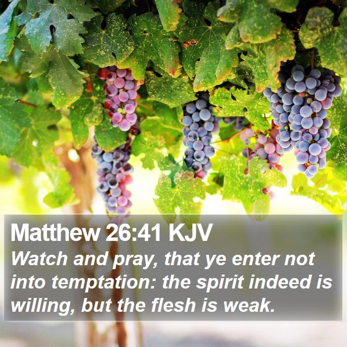 Matthew 26:41 KJV Bible Study