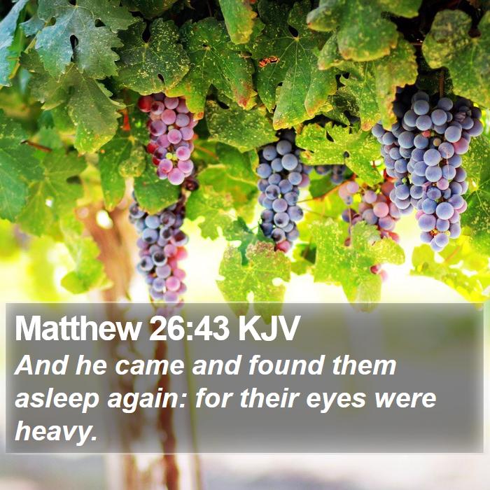 Matthew 26:43 KJV Bible Study