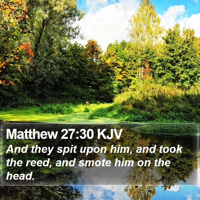 Matthew 27:30 KJV Bible Study