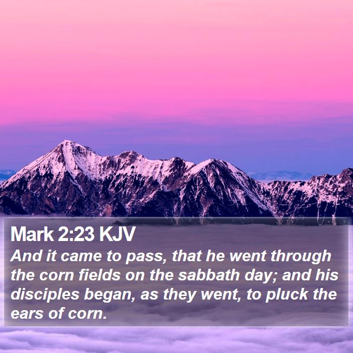 Mark 2:23 KJV Bible Study