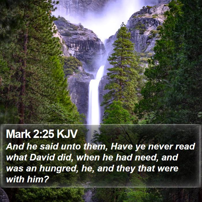 Mark 2:25 KJV Bible Study