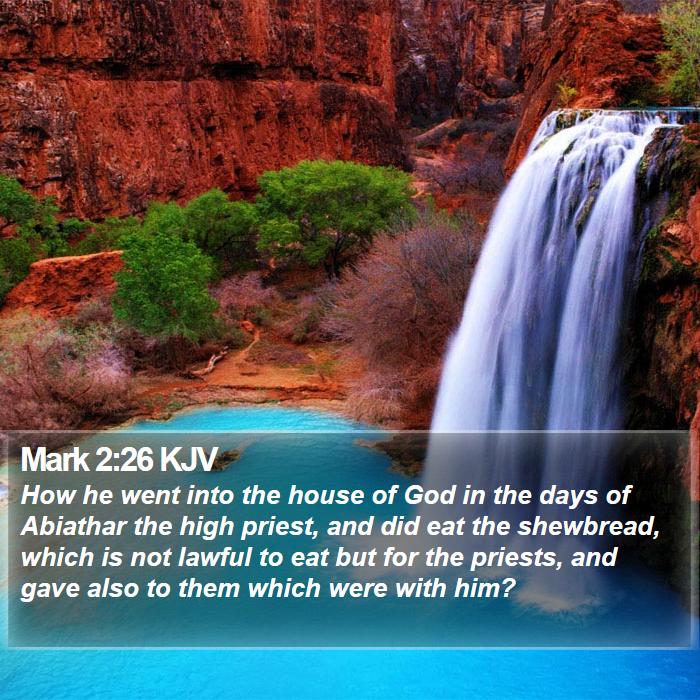 Mark 2:26 KJV Bible Study