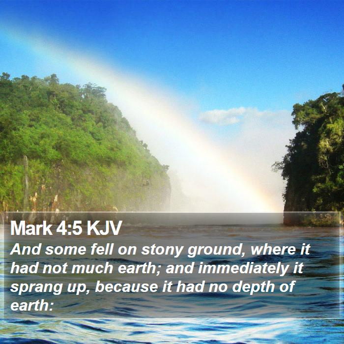 Mark 4:5 KJV Bible Study