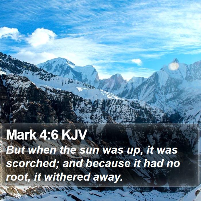 Mark 4:6 KJV Bible Study